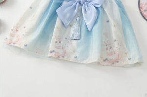 y153 - Baby Girl Lotus Rabbit Chinese Hanfu Dress - 图片 4