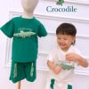 y109 - 3D Crocodile Suit Set - Image 1