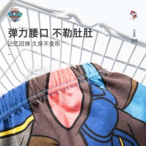y394 - Paw Patrol Boys' Boxer Briefs - 图片 5