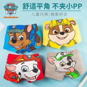 y394 - Paw Patrol Boys' Boxer Briefs