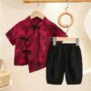 y590 - CNY Collections Summer Clothes Short-Sleeved National Style - 图片 3