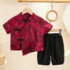 y590 - CNY Collections Summer Clothes Short-Sleeved National Style - 图片 2