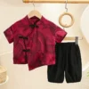 y590 - CNY Collections Summer Clothes Short-Sleeved National Style - 图片 1