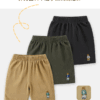 y513 - Bear Casual Shorts - Image 9