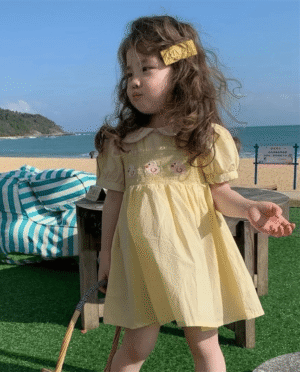 y705 - Embroidered Duck Puff Sleeve Princess Dress - Image 5