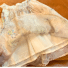 y507- CNY Collections - Champagne Suit - Image 8