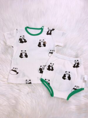 y980 G & DB Short Sleeve Set - 图片 17