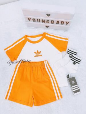 y988 – AD Colorful Set - Image 7