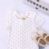 y1038 - cottoli short sleeve shirt - 图片 3
