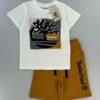 y1030 - Summer Timberland Set - Image 2