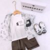 y1380 - R Dinosaur 3 in 1 Set - 图片 4