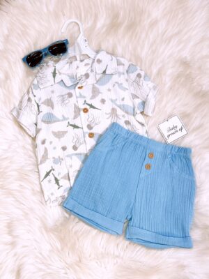y1522 - Beach Style Shirt With Sun Glasses Set